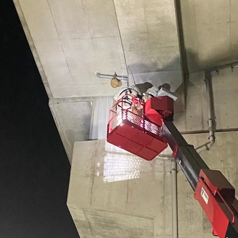 高所の蜂の巣駆除